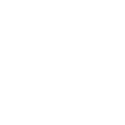 patio door protected